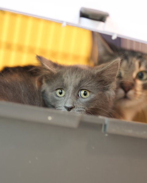 photo de VÉRY