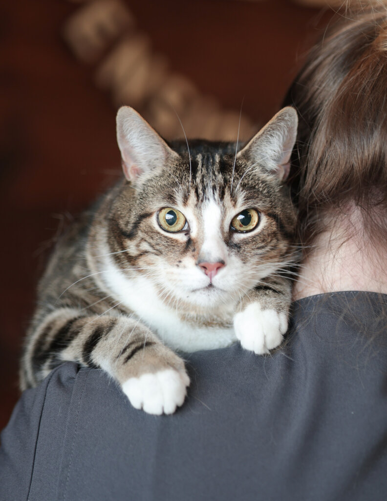 photo de FLAUBERT