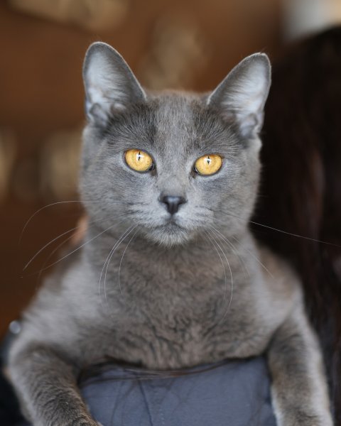 photo de JAËLY