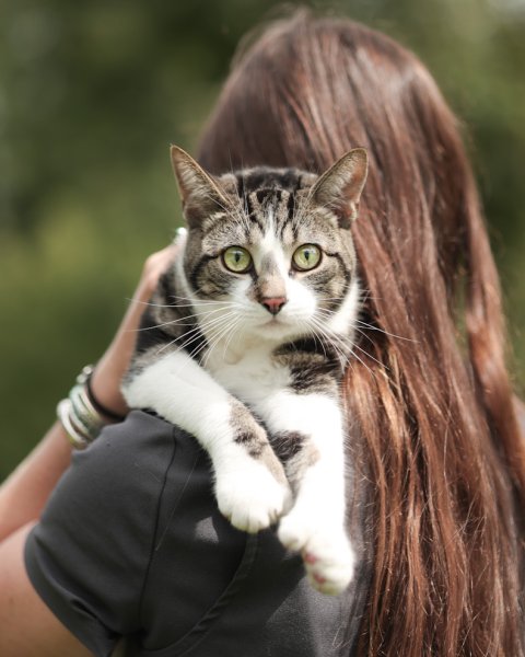 photo de TI-MINE