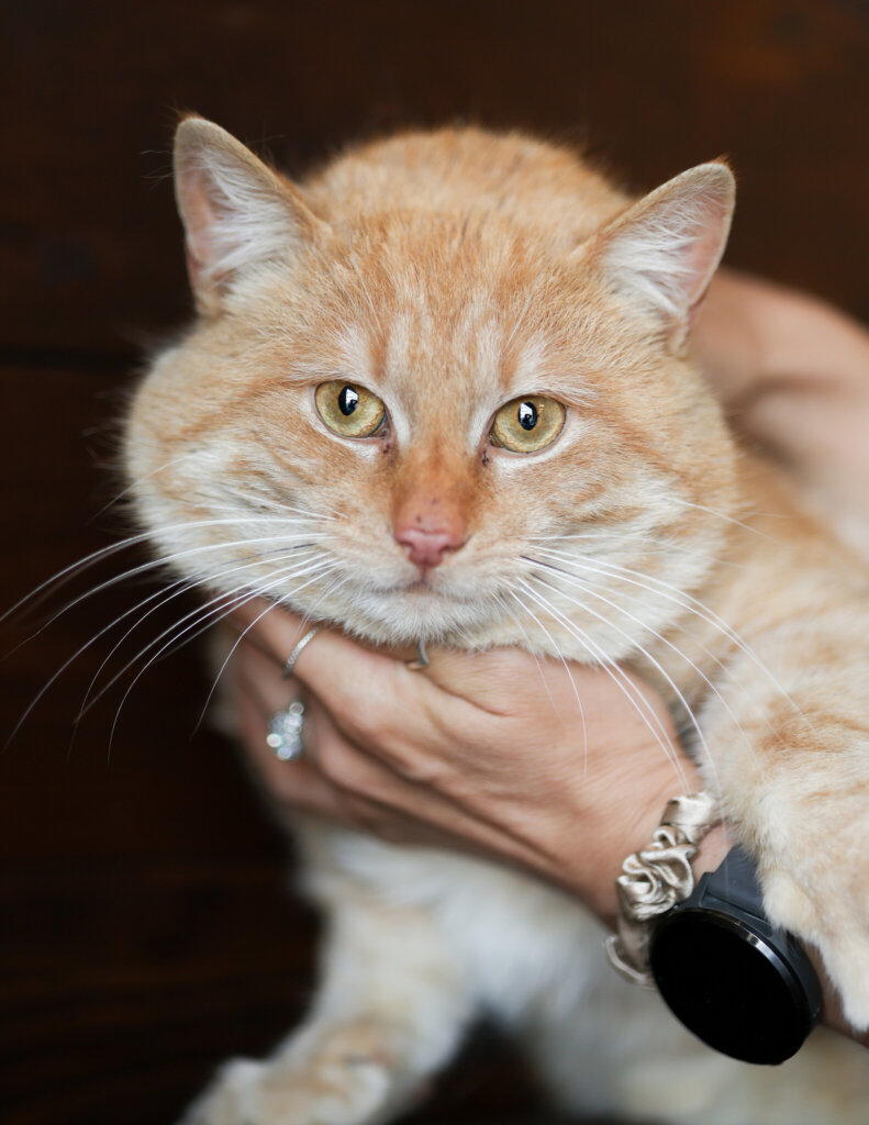 photo de CARAMEL