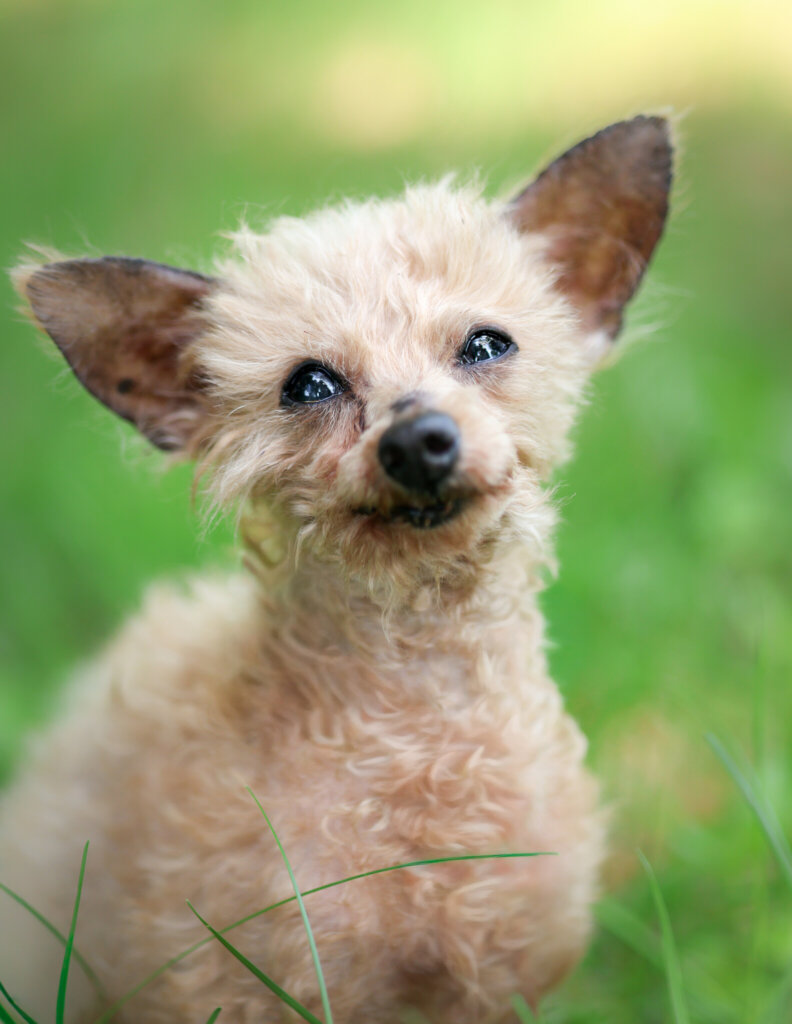 photo de FIGARO