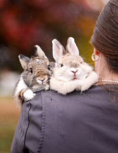 photo de MOCHI ET LOUNA