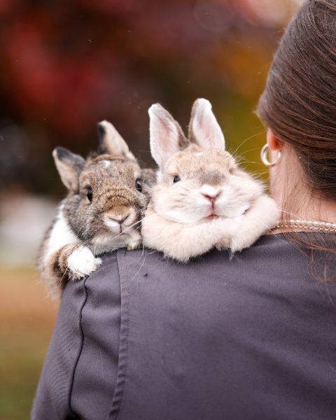 photo de MOCHI ET LOUNA