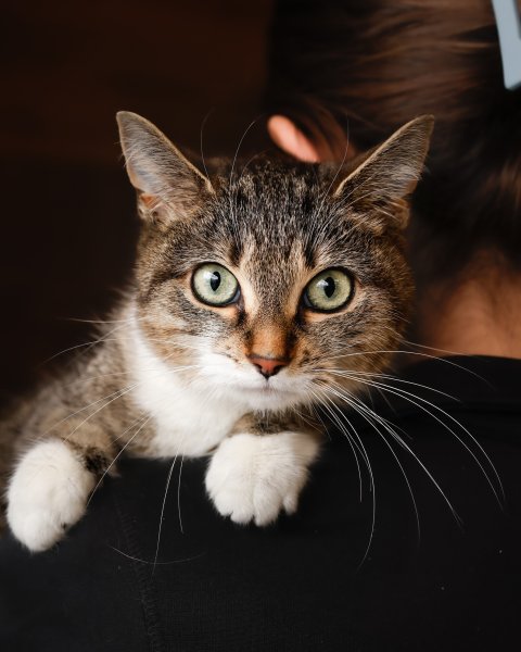 photo de Utopie (F)