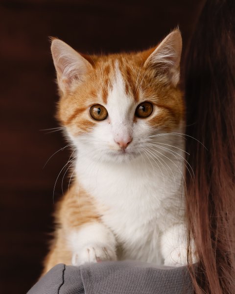 photo de Milan (M)