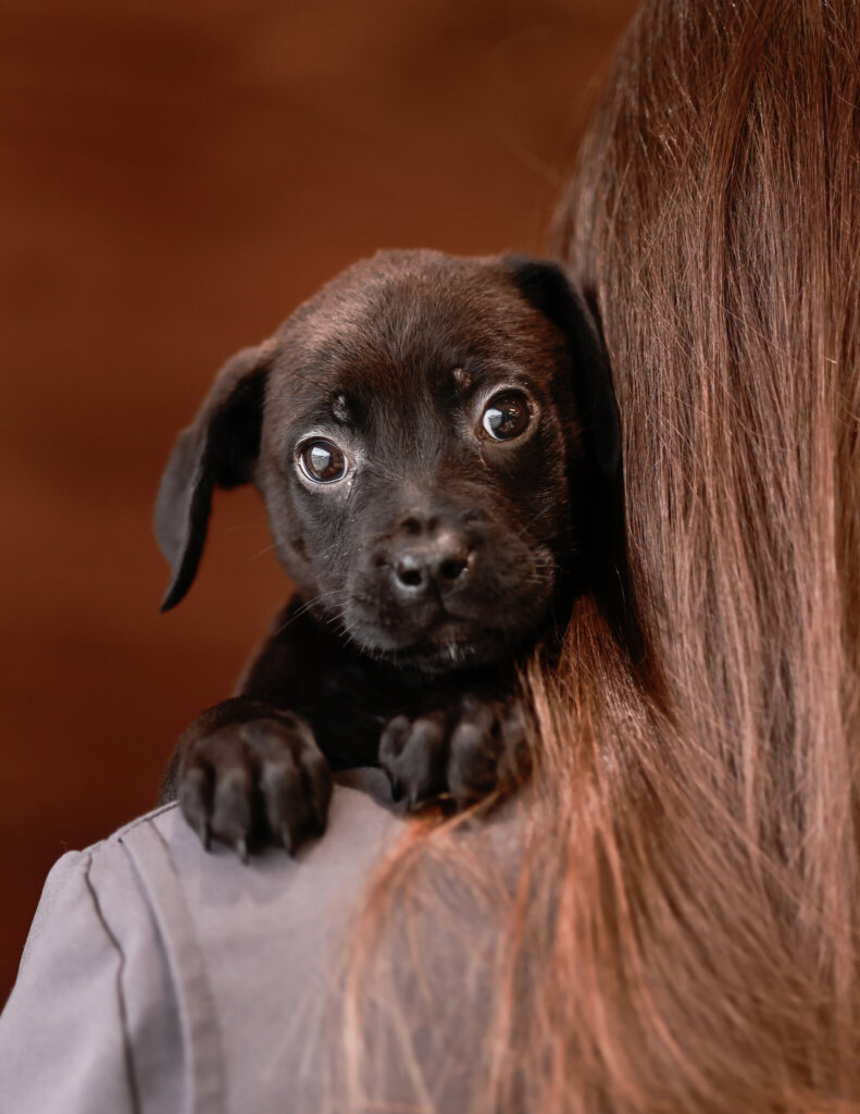 photo de Nelly (F)