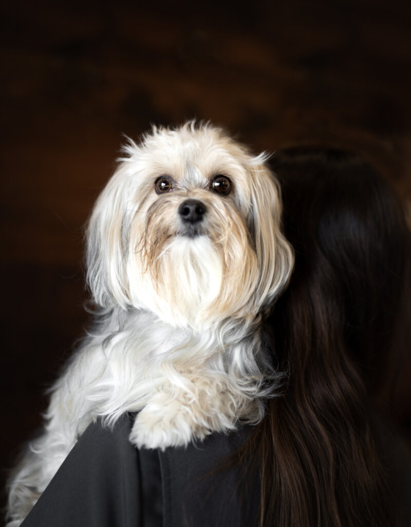 photo de Millie (F)