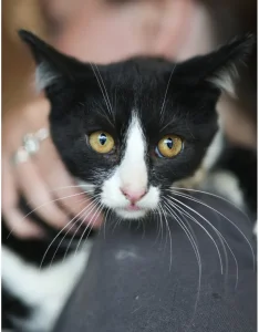 photo de FIGARO