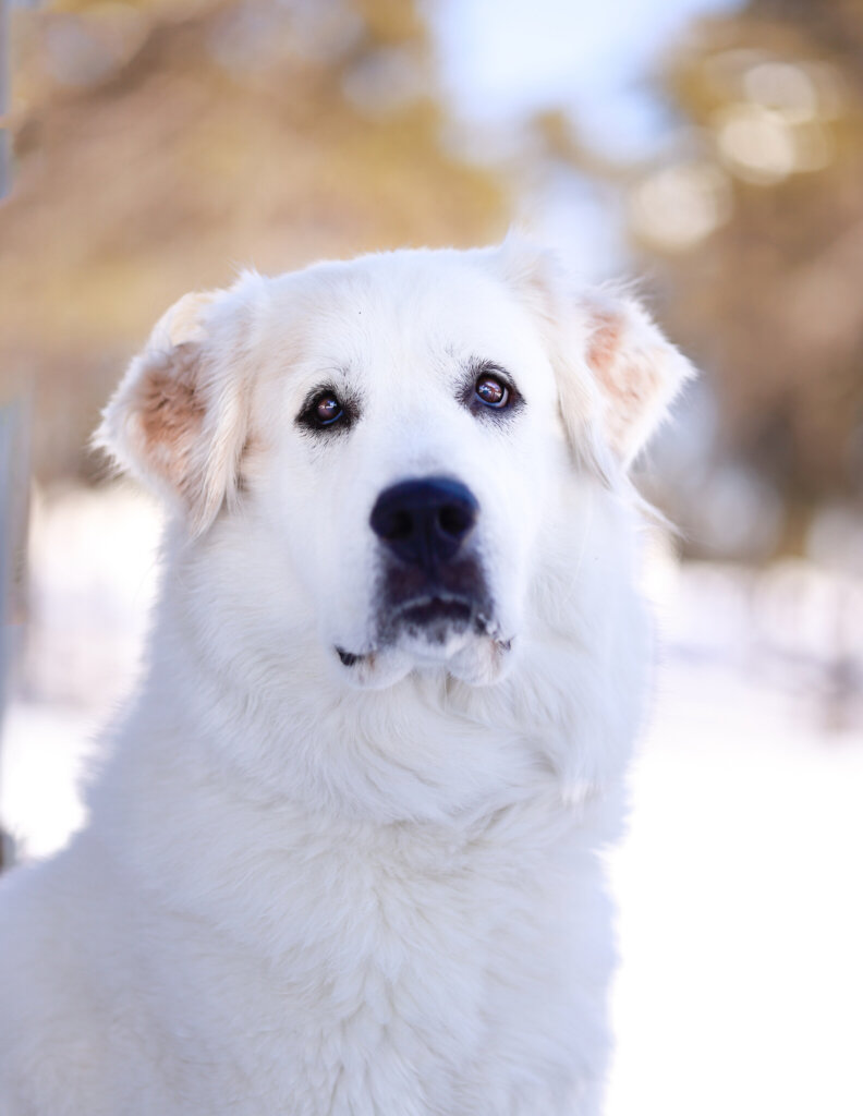 photo de Nova (F)