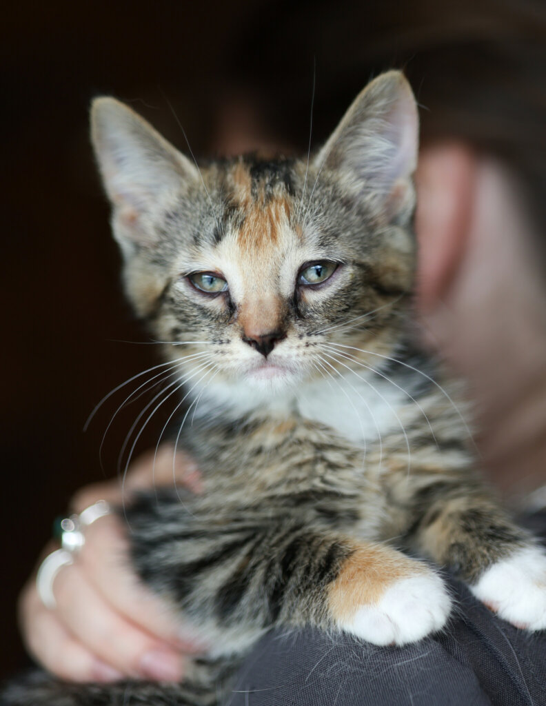 photo de JASMÉE