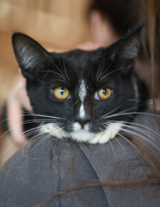 photo de MOUMOU