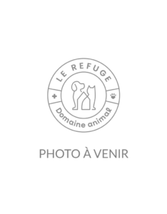 photo de LAURENT