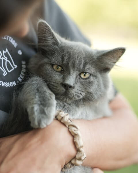 photo de TI-LOULOU
