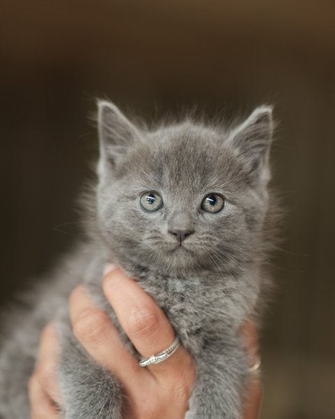 photo de SPOOKY