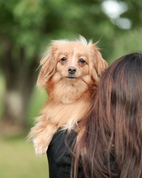 photo de CHILI