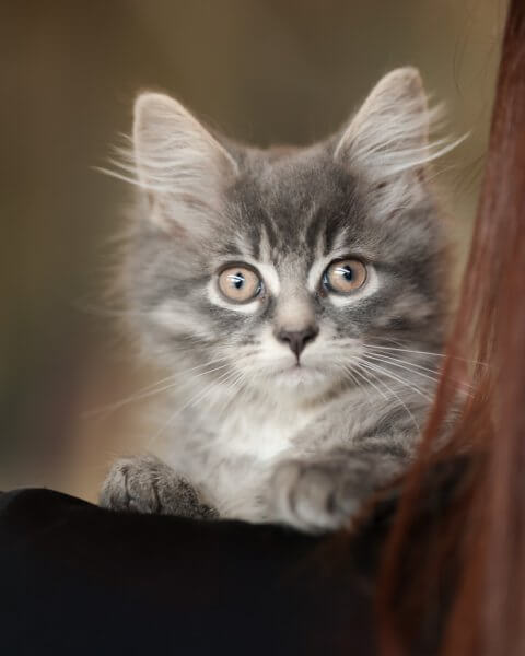 photo de MEGGIE