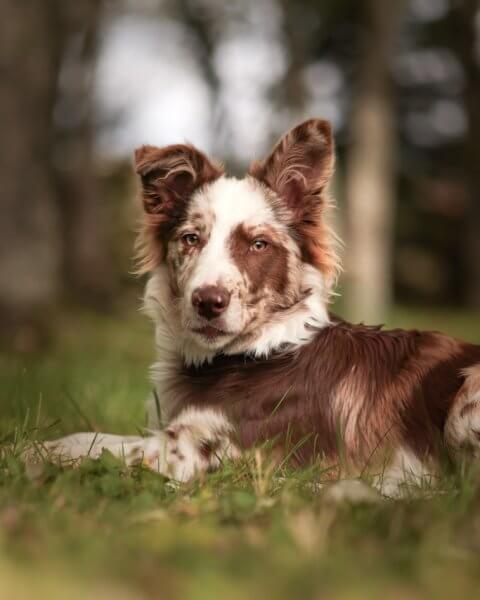 photo de FLYNN